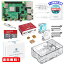 MR:TRASKIT Raspberry Pi 4 Model B Starter Kit/饺٥꡼ѥ4B4GB RAM˵Ŭޡ/MicroSDHC64GB NOOBSץꥤ󥹥ȡ/ñ˼դ륱/5.1V/3A Type-C åŸ/2ĤMicroHDMI-to-HDMI...