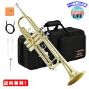 Eastar トランペット Bb調 Trumpet 初心者 清潔アクセサリー付 (ゴールドブラス) 開学 クリスマス