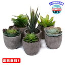 MR:T4U フェイクグリーン 観葉植物 人工観葉植物 人工多肉植物 造花 インテリア 6点入り お世話不要 プレゼント