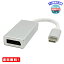 MR:TYPE-C 3.1 (USB3.1) to Displayport DP 変換アダプター 4K 30Hz 1080p カラー：シルバー cable-066