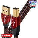 MR:オーディオクエスト オーディオグレードUSBケーブル(0.75m・1本)【A】タイプ⇒【B】タイプaudio-quest“シナモン” USB2 Cinnamon 0.75M/A to B