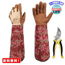 MR:Treedeng ガーデングローブ バラグローブ バラ手袋 園芸用手袋 女性用 レディース トゲ防止 ローズグローブ 長袖 前腕保護 花柄 柔らかい