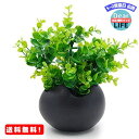 MR:TOSSOW 植木鉢 陶器鉢 卵形 多肉植物 サボテン鉢 ハーブ プランター容器 おしゃれ プレゼント ミニ ブラック