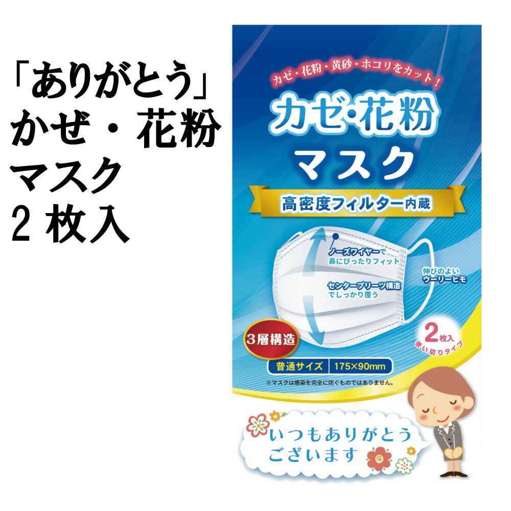 感謝の想い　「ありがとう」かぜ・花粉マスク2枚入 名刺ポケット付き【注文は100個以上受付】【人気 景品 ノベルティ 販促品 業務用 お礼 イベント 景品 配布 開店 営業 街頭 感染 対策 コロナ 病院 ウィルス対策 予防グッズ 衛生用品】