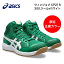 2024年新作☆【送料無料】 1273A091 ウィンジョブ CP218 アシックス asics ハイカット作業靴 合皮素材 作業靴 ワーキングシューズ 安全シューズ セーフティシューズ（JSAA A種 樹脂先芯）☆限定生産カラー