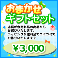 出産祝いに！店長おまかせギフトセット♪3000円☆ベビー服 ならDearBaby's☆ カーターズ carter's やSassy等色々取り揃えています