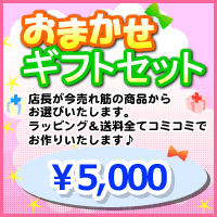 【送料無料】出産祝い用/店長おまかせギフトセット♪5000円【送料無料＆ラッピング込】