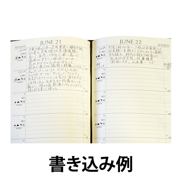 【レビュークーポン】 名前が入る 連用日記《革カバー5年日記 名入れあり》日記帳 ...