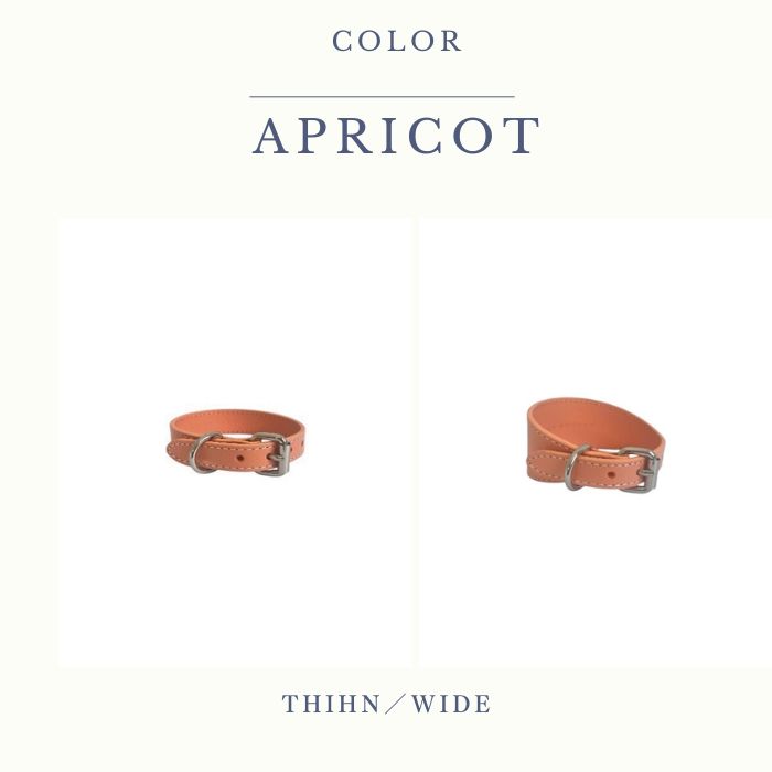 【COLLAR OF SWEDEN/】本革首輪　APRICOT