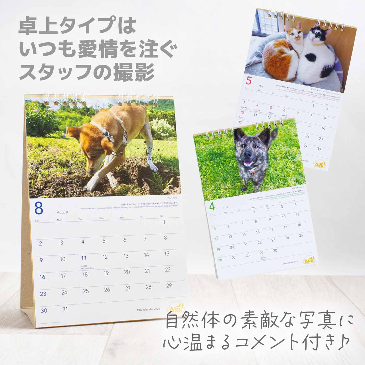 ARK アーク 卓上カレンダー 2026 アニ...の紹介画像2