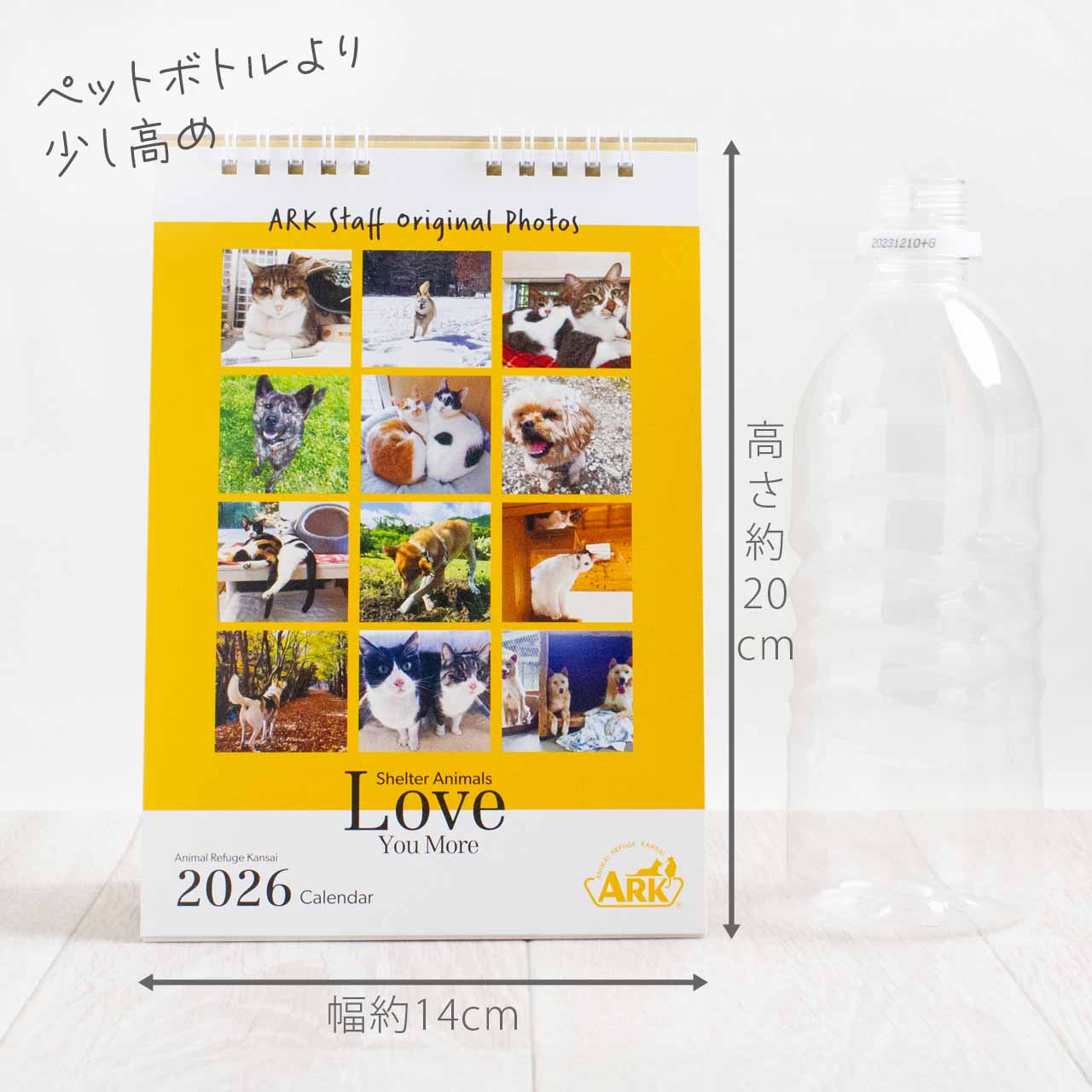 ARK ������ ��奫������ 2026 ���˥ޥ��ե塼������ �ݸ �ݸ�ǭ �̿� �ܥ��ƥ��� ưʪ�ݸ� ���� �ڥ᡼����OK��