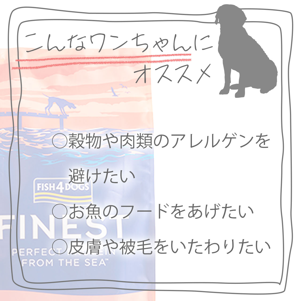 【P10倍】 フィッシュ4ドッグ ファイネスト...の紹介画像3