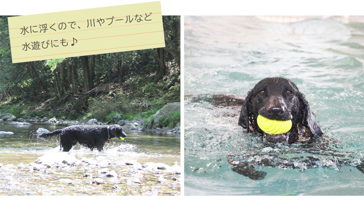 ハーツ デュラプレイ ボール 中型犬〜大型犬用 ブルー／グリーン 【犬用 おもちゃ スクイーカー付 ラテックス製 中綿入り】【宅急便発送】