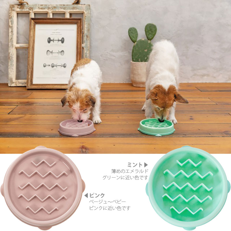 Outward Hound ファン&スロウフィ...の紹介画像2