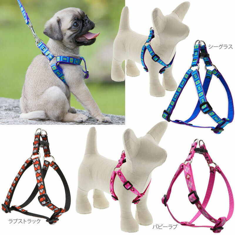 ルパイン ステップインハーネス Sサイズ 1.3cm幅 胴周り25-33cm Lupine ハーネス 小型犬 ナイロン 輸入商品 【メール便OK】
