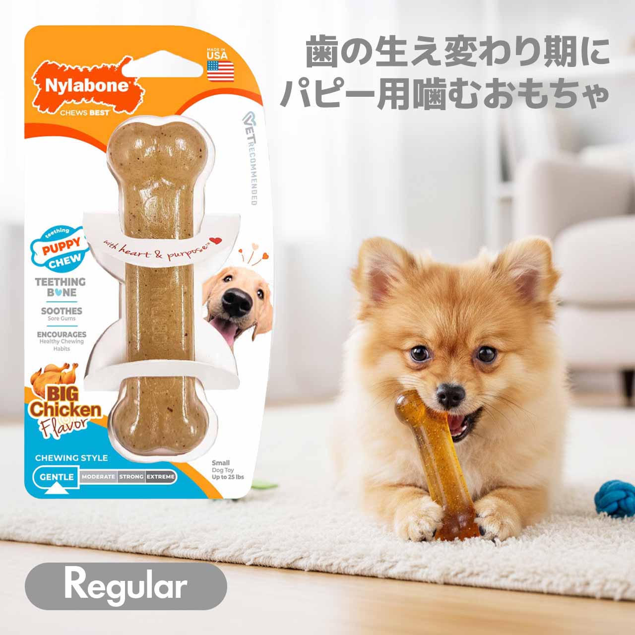 子犬 噛むおもちゃ Nylabone ナイラボーン パピーチュウ ボーン レギュラーサイズ 小型犬 パピー アメリカ製 骨型 輸入品【メール便OK】