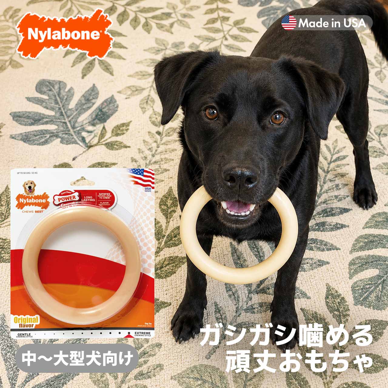 乐天商城 - 犬 おもちゃ 長持ち ナイラボーン デュラチュウ リング ジャイアントサイズ 中型犬 大型犬 頑丈 噛むおもちゃ アメリカ製 Nylabone 海外ブランド 輸入品 メール便OK oyom