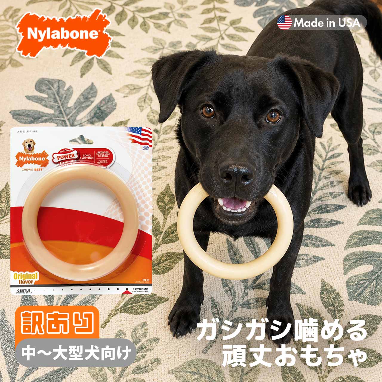 【訳あり】 犬 おもちゃ 長持ち ナイラボーン デュラチュウ リング ジャイアントサイズ 中型犬 大型犬 頑丈 噛むおもちゃ アメリカ製 Nylabone 海外ブランド 輸入品 難あり セール メール便OK