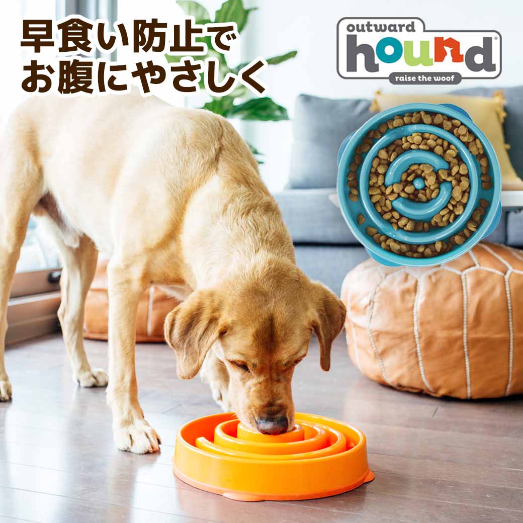 Outward Hound ファン＆スロウフィーダーボウル ミニ 2カップ アウトワードハウンド 食器 早食い防止 海外ブランド