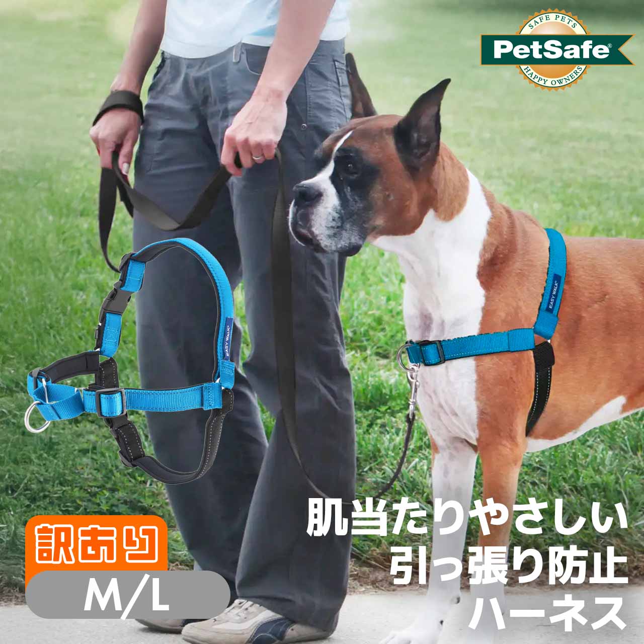 【訳あり】 引っ張り防止 ペットセーフ デラックスイージーウォークハーネス M/L オーシャンブルー 大..