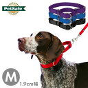 中型犬 首輪 ハーフチョーク プレミアカラー 1.9cm幅 Mサイズ ナイロン ペットセーフ Petsafe マーチンゲルカラー 海外ブランド 輸入品 メール便OK 後頭部周り25.4cm～40.6cm