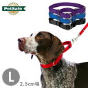 大型犬 首輪 ハーフチョーク プレミアカラー 2.5cm幅 Lサイズ ナイロン ペットセーフ Petsafe マーチンゲルカラー 海外ブランド 輸入品 メール便OK 後頭部周り35.5cm～50.8cm