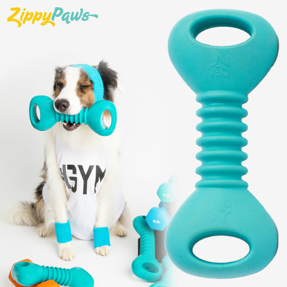 楽天市場】Nylabone ナイラボーン デンタルチュウ ダイナソー レギュラーサイズ 犬 小型犬 噛む おもちゃ 硬質ナイロン 輸入 : Dear Dogs 犬のセレクトショップ 楽天市場】Nylabone ナイラボーン デンタルチュウ ダイナソー レギュラーサイズ 犬 小型犬 噛む おもちゃ 硬質ナイロン 輸入 : Dear Dogs 犬のセレクトショップ