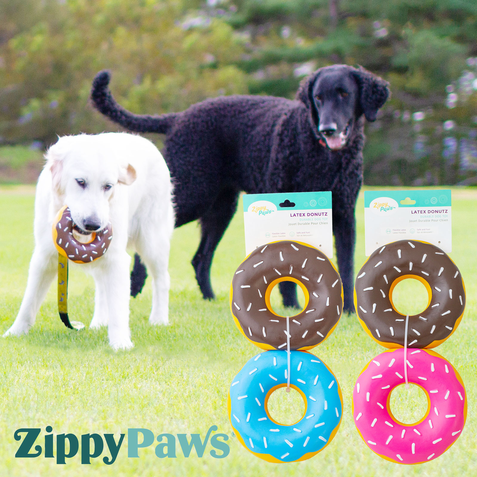 ZippyPaws ラテックス ドーナッツ 2個パック レギュラーサイズ ジッピーポウズ 中型犬 大型犬 おもちゃ ラテックス トイ スクイーカー付 カラフル ドーナツ 海外ブランド 輸入品
