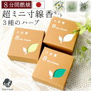 線香 八分香 約8分燃焼 ハーブの香り カモミール ローズマリー ホワイトセージ セット 4.5cm 超ミニ寸【ネコポス送料無料】小さい ミニサイズ 自宅用 仏...