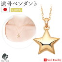 【ポイント5倍】遺骨ペンダント スター イエローゴールド 国産 ソウルジュエリー Soul Jewerly 遺骨カプセル 遺骨ネックレス 手元供養 メモリアル ...