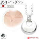 【ポイント5倍】遺骨ペンダント パヴェ ドロップ ホワイトゴールド K10 ダイヤモンド 国産 手元供養 供養 Soul Jewelry 遺骨カプセル アクセサ...