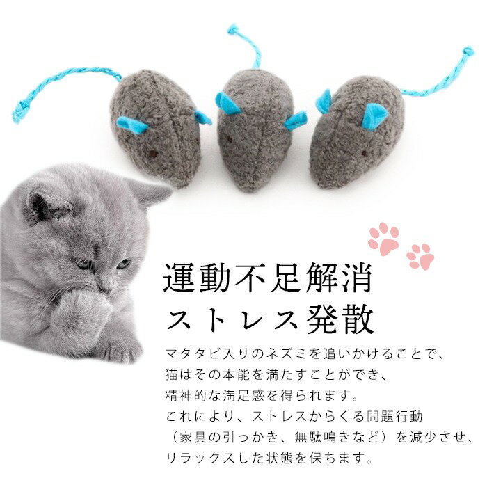 ǭ ������� �ͤ��� �ͥ��� 10�� 20�� 30�� 40�� �ޥ��������� �ͤ��ߤΤ������ ��ư��­ ���ȥ쥹ȯ�� ǭ����餷 �ҤȤ�ͷ�� ���᤭ �ǥ󥿥륱�� �ޥ��� �ͥ� �ͤ� �ޤ����� �����५�顼 ����̵�� SE501G