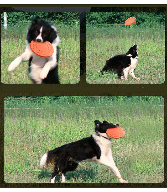 �������������̵�� �� �եꥹ�ӡ� �ɥå��եꥹ�ӡ� ������� �ե饤�󥰥ǥ����� �ڥå� ���餫�� ����ե� ���प����� ����� �ꤲ�� ���� ���ߤ� ͷ�� ���ȥ쥹��� ��ư ���� ���� ���� ͷ�٤� ���� ����� ��å� �֥�å� �� �֥롼 �������� ���꡼�� KM788G