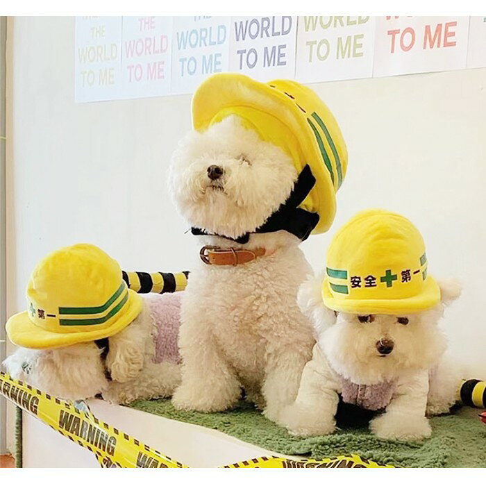 【送料無料】犬 安全第一ヘルメット帽子 被り物 帽子 仮装 ハロウィン コスプレ 変身 黄色 イエロー フレンチブルドッグ フレブル コーギー ビーグル ビションフリーゼ キャバリア ボストンテリア パグ 中型犬 KM889G
