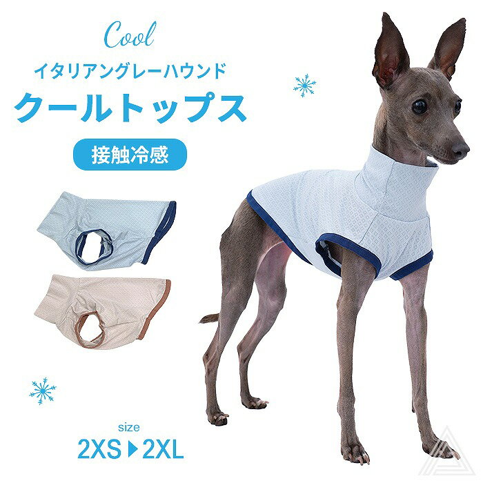 【送料無料】イタグレ 服 接触冷感 ひんやりトップス ハイストレッチ カットソー 夏服 Tシャツ メッシュ 犬 伸縮性 イタグレ イタリアングレーハウンド 犬服 洋服 ミニピン ミニチュアピンシャー サイトハウンド おしゃれ ハイネック IG032T