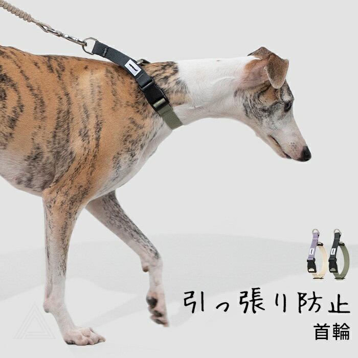 樂天商城 - 新作 犬 首輪 引っ張り防止 しつけ用 トレーニング首輪 調整可能 フレブル フレンチブルドッグ 引っ張り癖 小型犬 中型犬 犬用 散歩 丈夫 軽量 シンプル チワワ トイプードル マルチーズ 【HiDREAM】【HD029005】