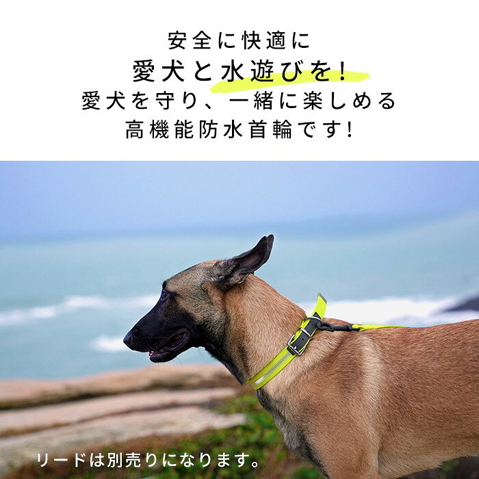 【Truelove】 防水首輪 犬 ウォータープルーフ首輪 犬用 首輪 ドッグ ペット 安全 ...