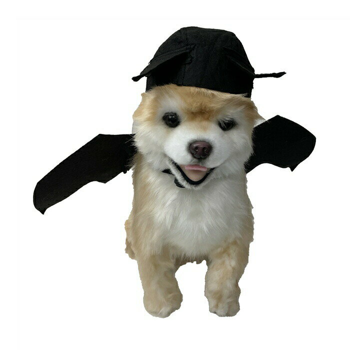 �� �ϥ������� �����ץ� ���� �ޥ��å��ơ��� ������� �������塼�� �� �� �ɥå������� ������ ǭ ���ʪ ���� �ѥ�ץ��� ���㤤ʪ�ޥ饽�� 1000�� KM638G