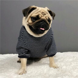 フレブル Tシャツ フレンチブルドッグ ボーダー 犬 服 カットソー ドッグウェア ペットウェア ペット服 犬服 洋服 カジュアル おしゃれ 中型犬 小型犬 大型犬 KM058TS