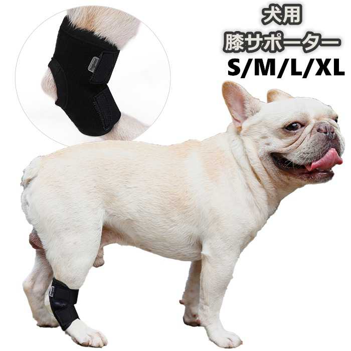 ˥ Ϸ   ݡ ڥå ݡ  ɨ  ɨ  æ ݸ ץƥ ­ץƥ ݸ...