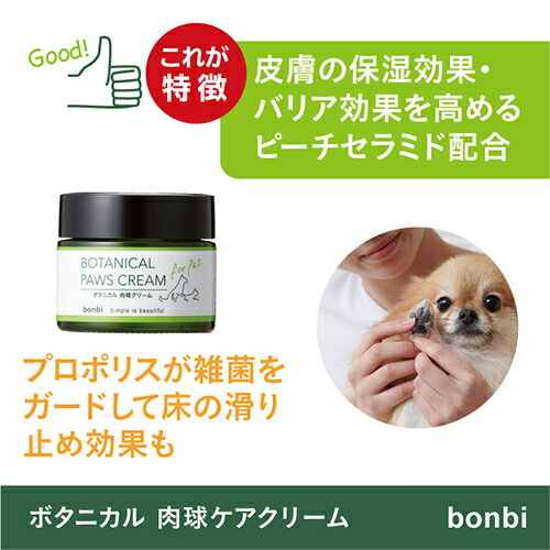 �ڤ����󤻡� �ܥ��˥������奱�����꡼��
