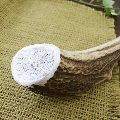 �ڤ����󤻡� �٥˥��󥢥�ȥ顼 S