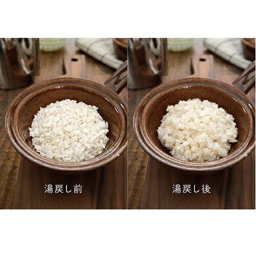 【お取り寄せ】 プレミックス）玄米ごはんフレーク 100g dearkm-10007154 DearKM 楽天市場店 サンプル画像2