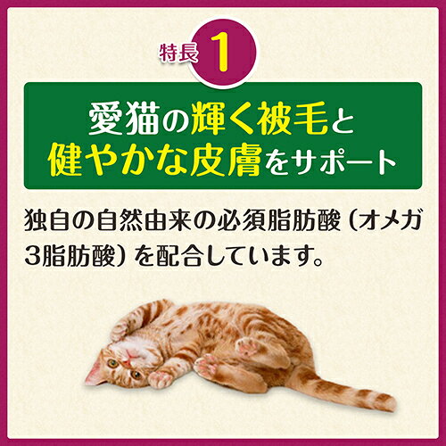 DearKM 楽天市場店の【お取り寄せ】 グリニーズ 猫用 皮膚被毛ケア サーモン味 90g アメリカ｜アングル2