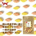 【お取り寄せ】 岡山県産平飼い卵と米粉のクッキー~焼き安納芋&紫芋~30g 日本