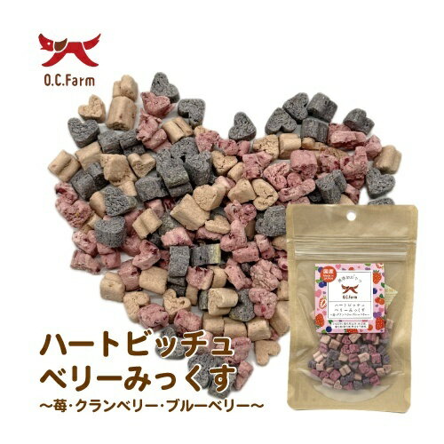 樂天商城 - 【お取り寄せ】 ハートビッチュベリーみっくす24g　日本