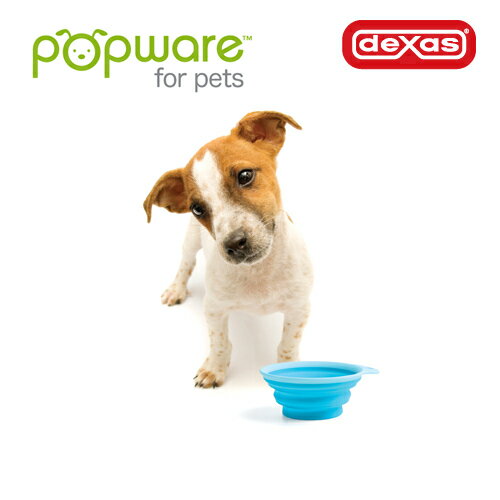 樂天商城 - 【お取り寄せ】 Popware ぺたんこボウル S ブルー ( S , ブルー )