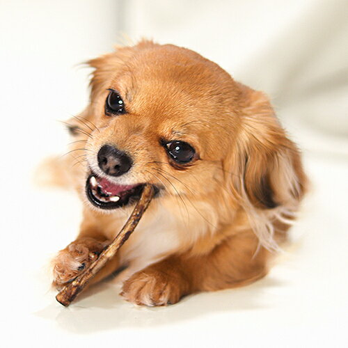 �ڤ����󤻡� �ϥ�ޥ� ����-�롦��� 80g