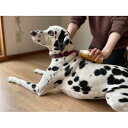 【お取り寄せ】 グルッテ短毛種ミディアム スポンジ部/ブラシ部/日本