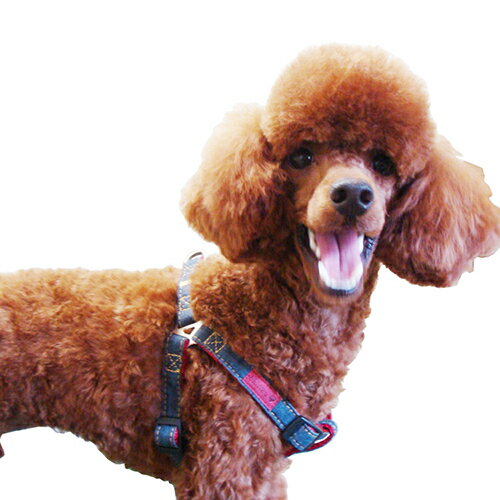 【お取り寄せ】 ブルーミー デニムハーネス M ライトブルー ( M , ライトブルー )